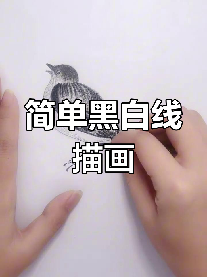 黑白线描画:从帽子到竹子,轻松画出可爱小动物