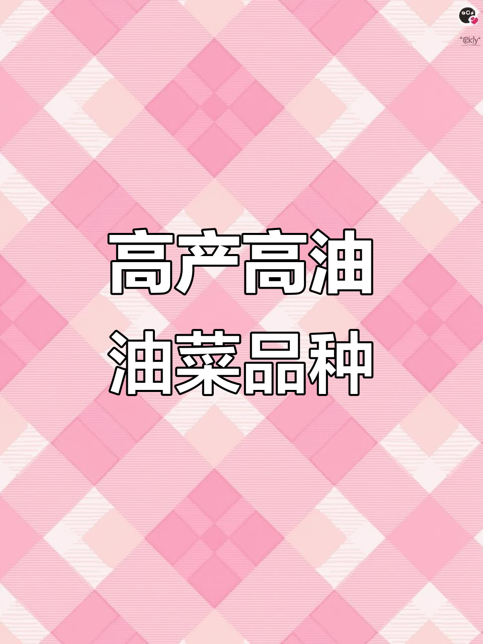 铁杆七百斤油菜，出油率高又抗寒耐病