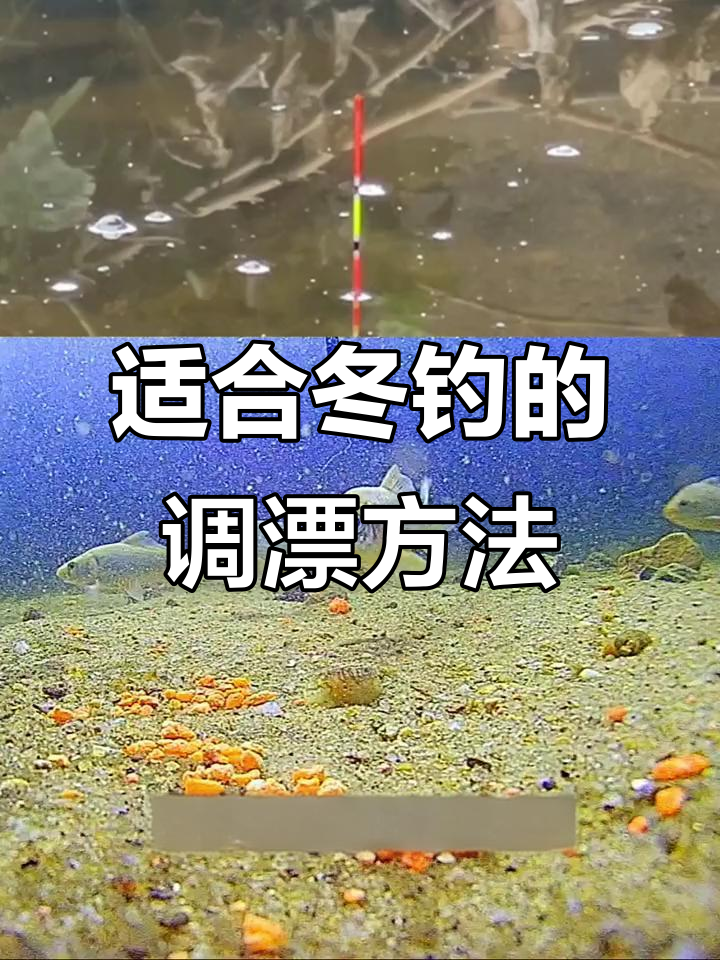 冬季钓鲫必备调漂技巧，新手也能轻松掌握
