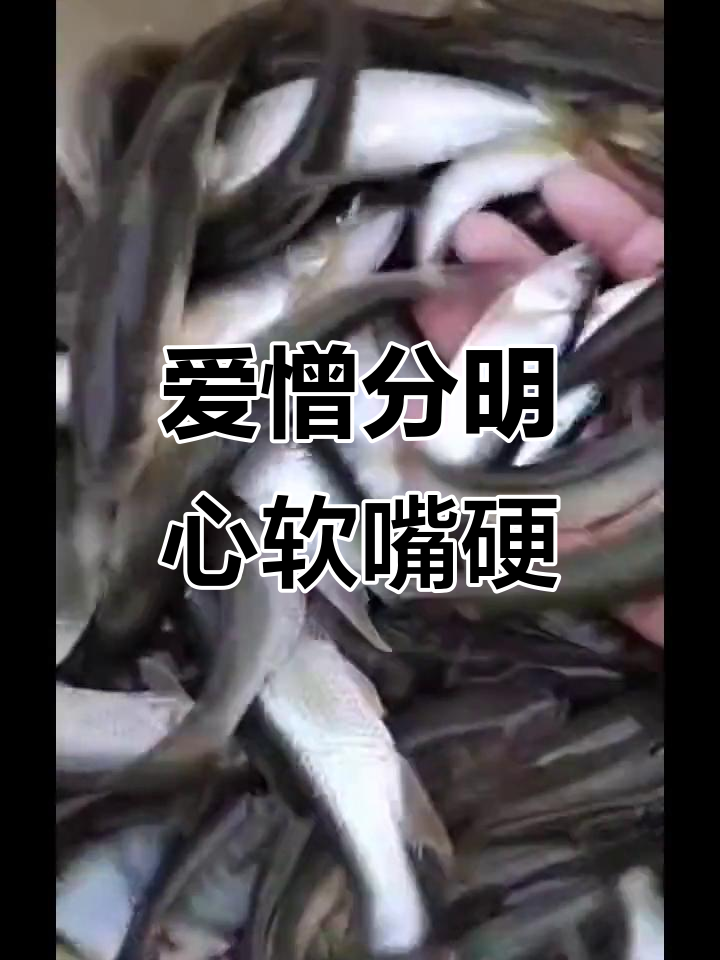 溪鱼土塘养殖:从敏感脆弱到善良的转变