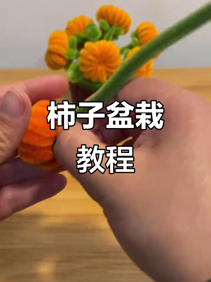 轻松制作柿柿如意盆栽，快来展示你的创意吧！