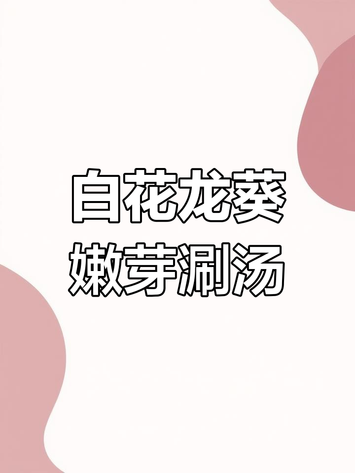 龙葵:白花菜嫩芽涮汤,清热解毒效果佳