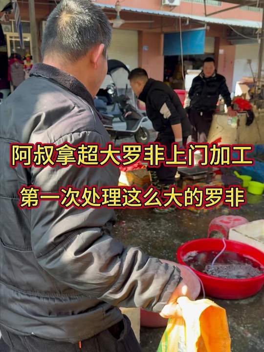 阿叔拿超大罗非上门加工，第一次处理这么大的罗非鱼