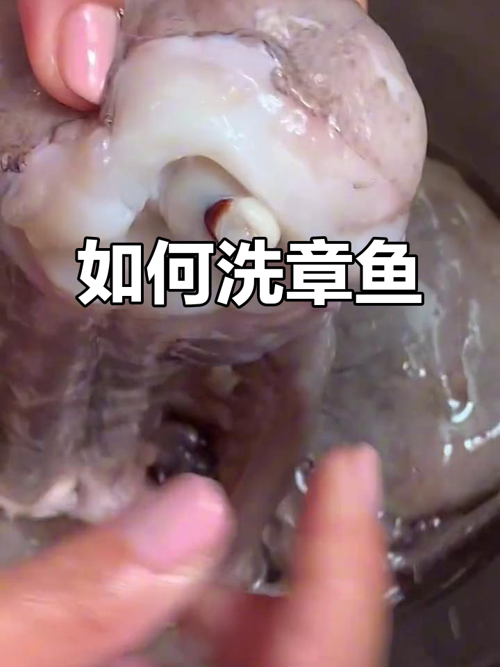 章鱼清洗技巧大揭秘,轻松搞定!