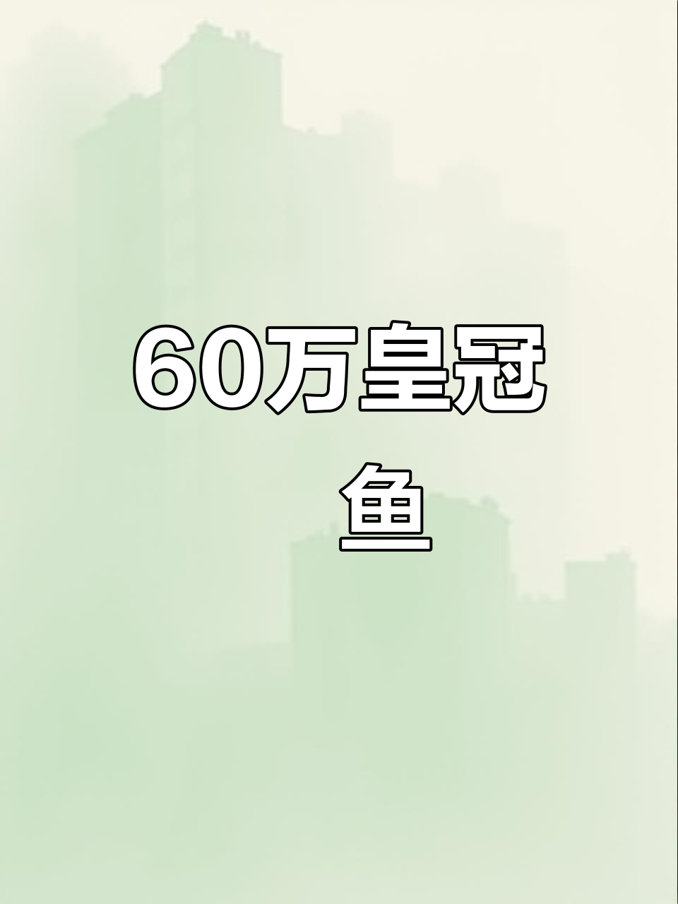 见过60万皇冠魟鱼吗?黑白相间的淡水珍品