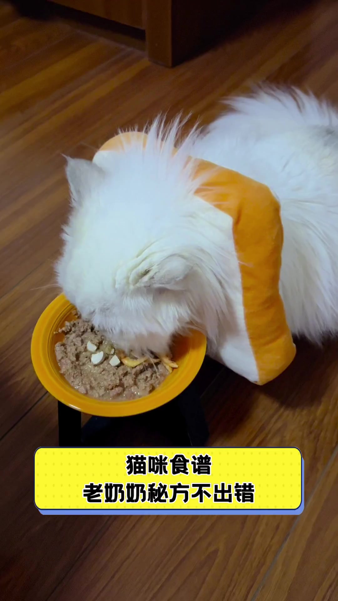 猫咪食谱,老奶奶秘方不出错