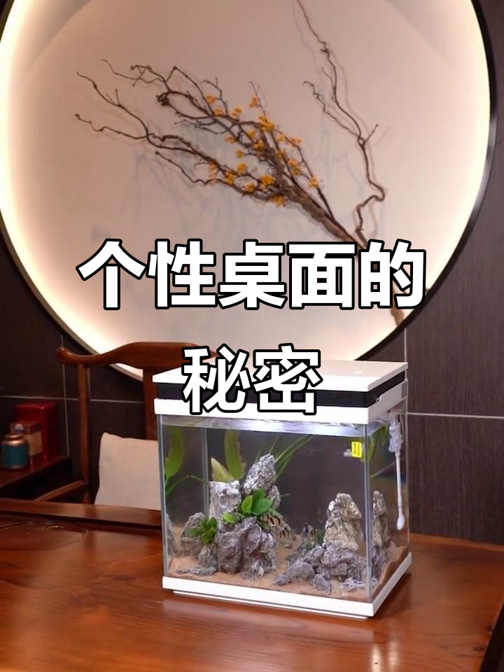如何让桌面更有个性?鱼缸装饰来帮忙