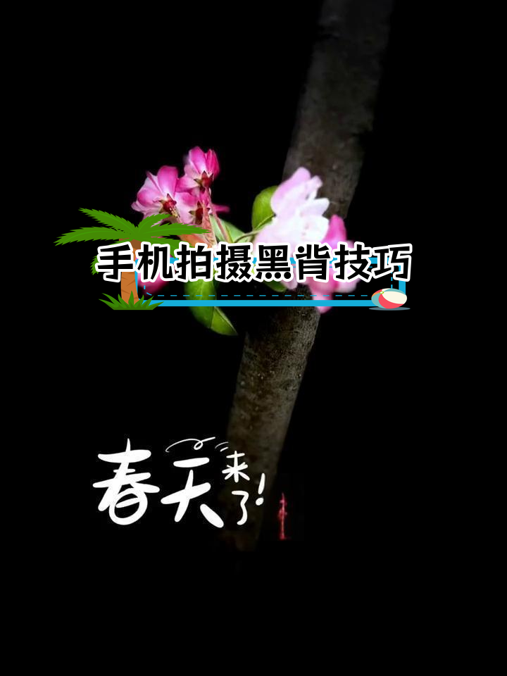 用手机拍出黑色背景照片