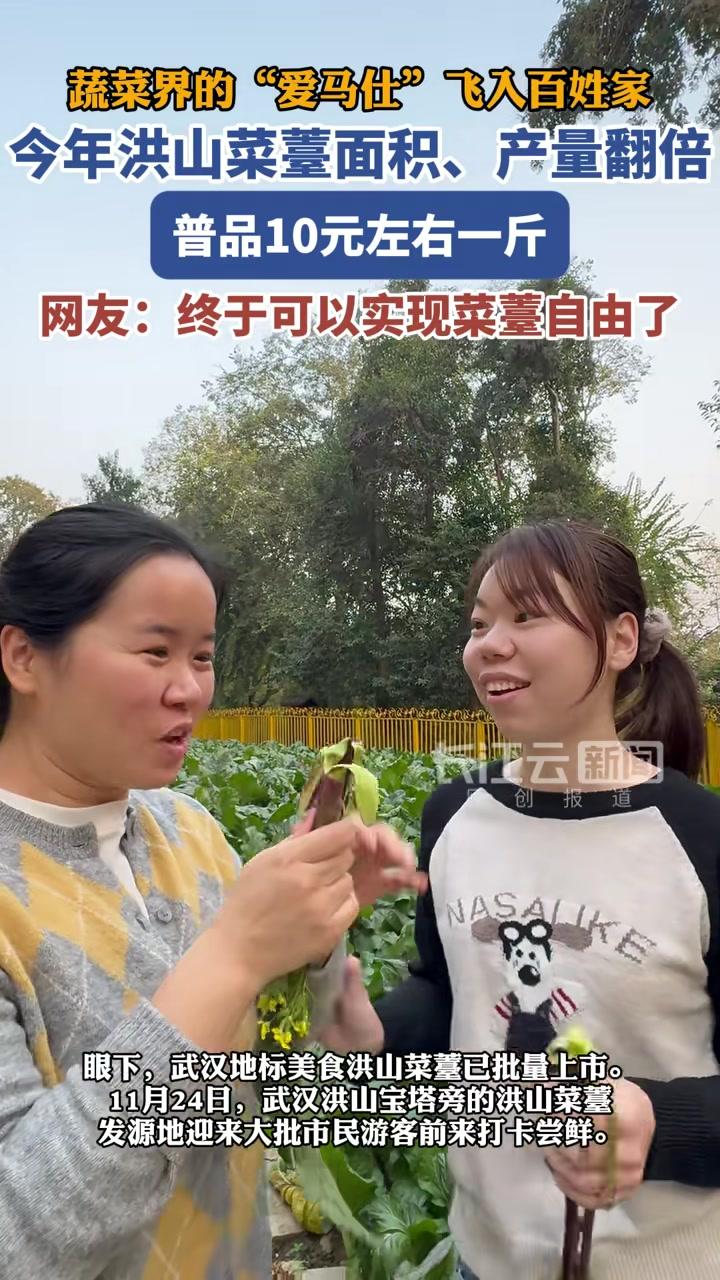 眼下，武汉地标美食洪山菜薹已批量上市。超市、菜场、餐馆随处可见，10多元就能买上一斤尝鲜