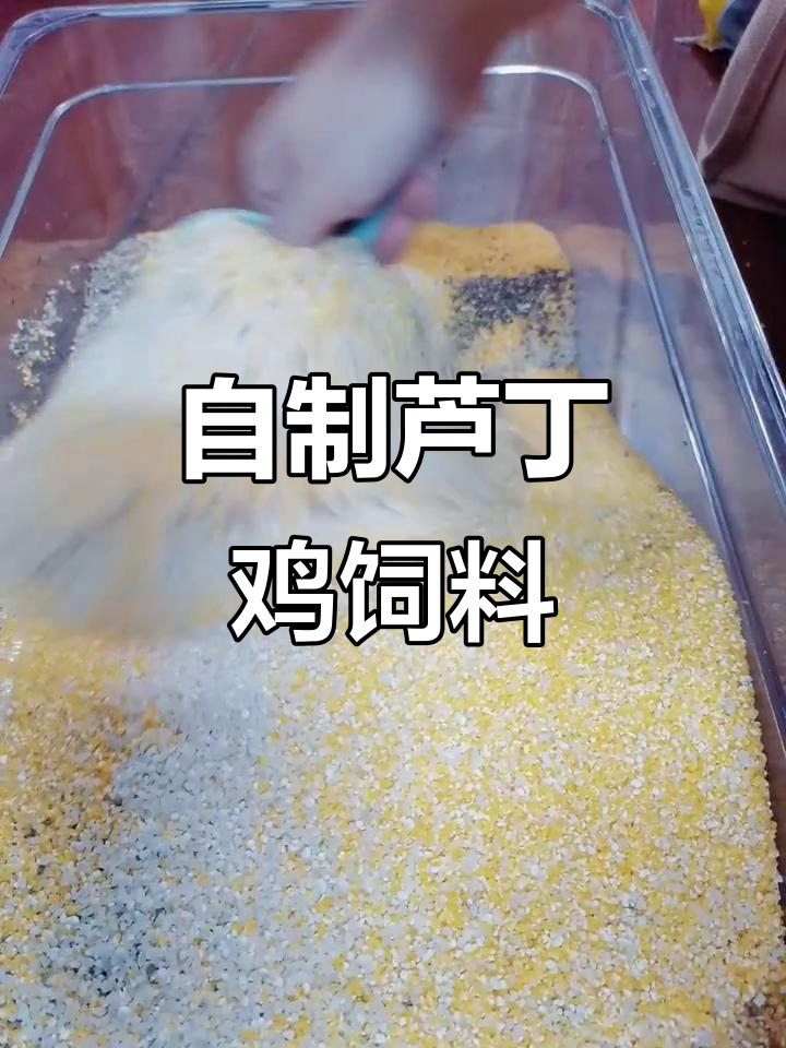 自制芦丁鸡饲料，简单又健康，确保鸡蛋营养满满！