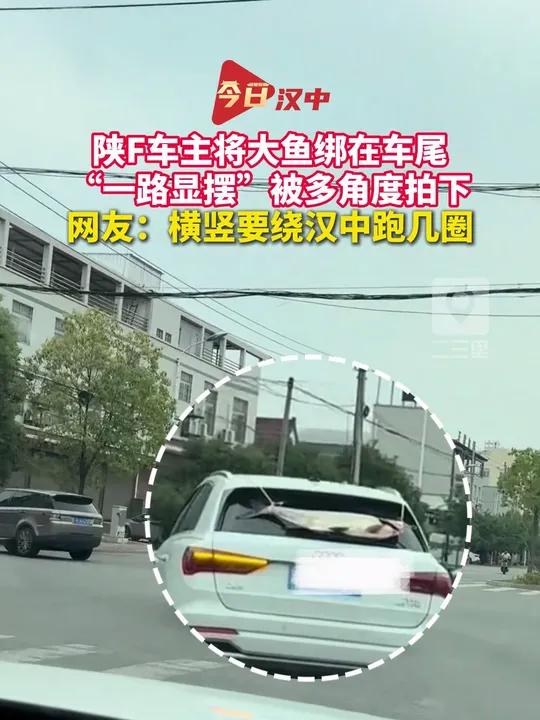 汉中 近日,陕西汉中,陕F车主将大鱼绑在车尾,“一路显摆”被多角度拍下,网友:横竖要绕汉中