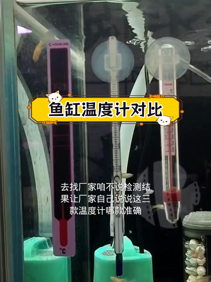 高精度温度计测试:鱼缸温测准确度揭秘