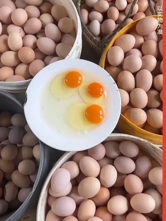 「伏羲山50枚」山林散养土鸡蛋新鲜虫草蛋营养健康24h甄选40-50g农村土鸡蛋散养土鸡蛋