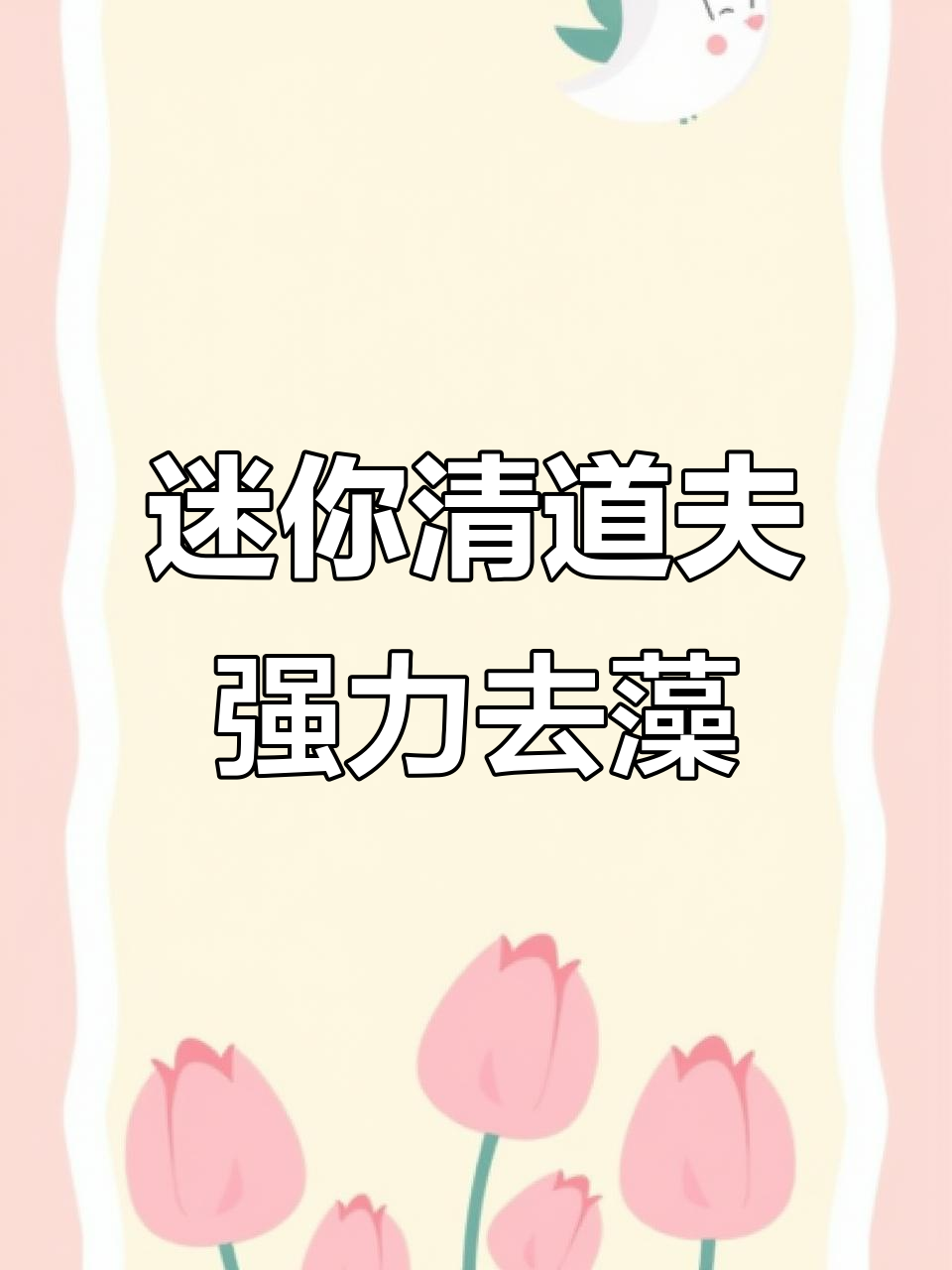 小型清道夫轻松除藻，水草缸必备工具鱼