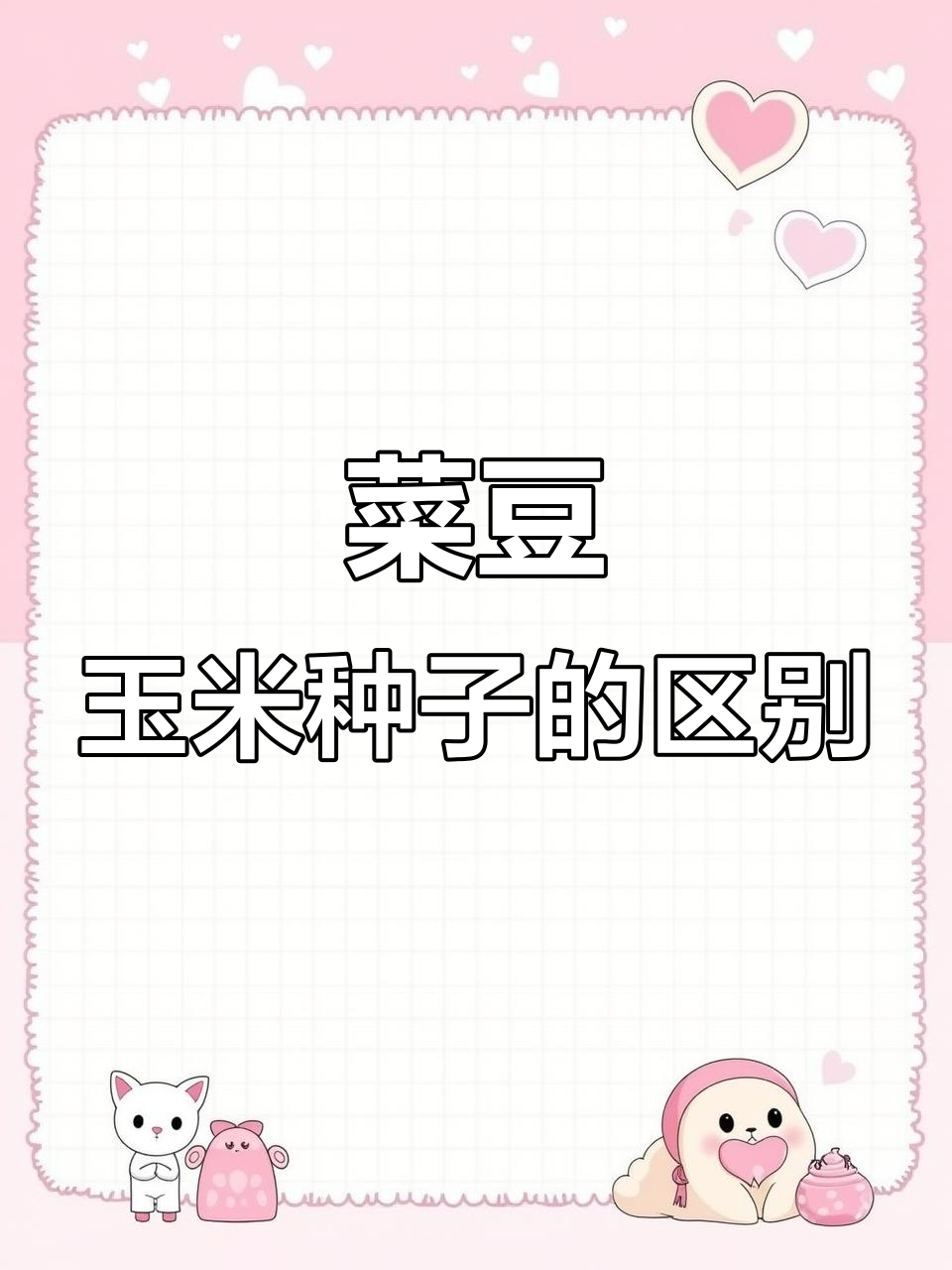 菜豆与玉米种子结构大不同,子叶、胚乳差异揭秘