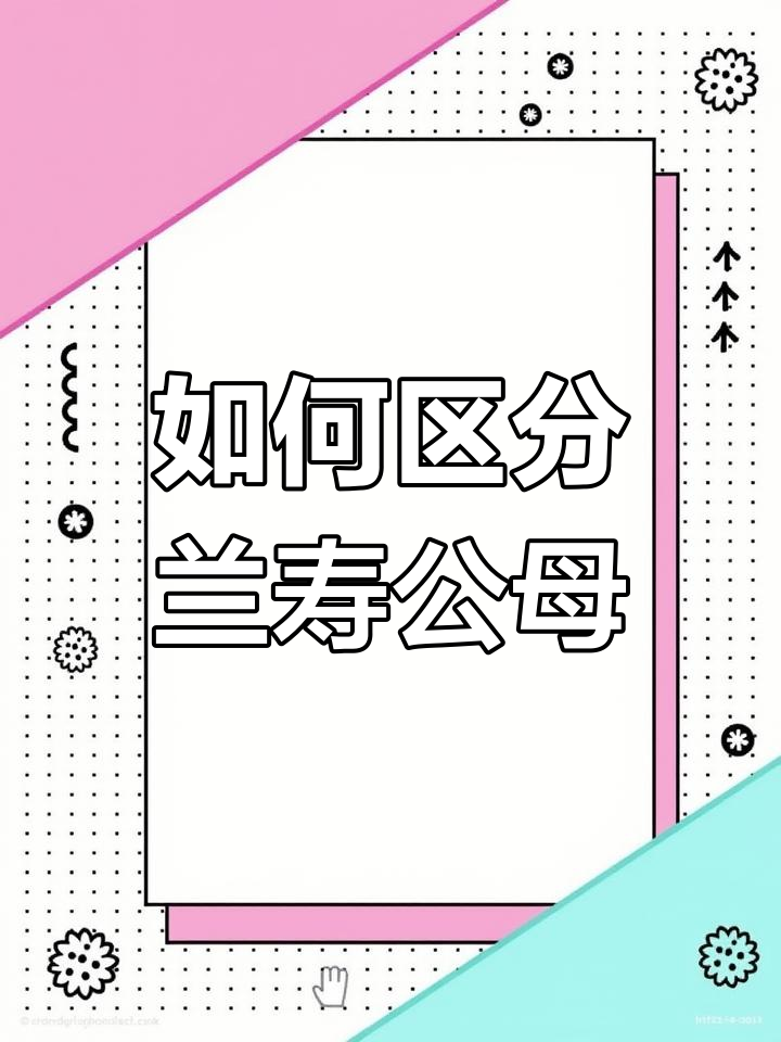兰寿公母分辨技巧,鱼鳍有白点的是公!