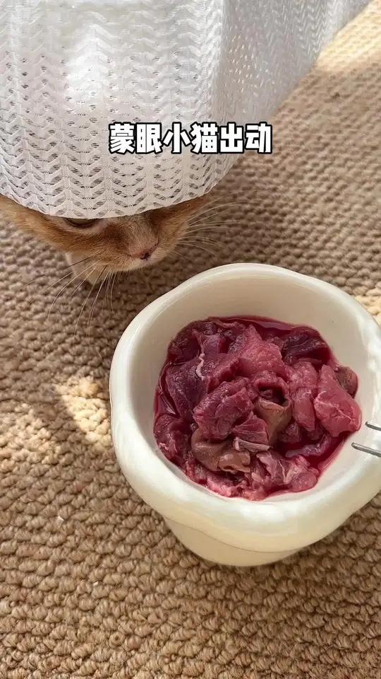 今天吃鹿肉～快赶紧拿给猫猫吃吧 生骨肉喂养猫咪 怀特喵家生骨肉