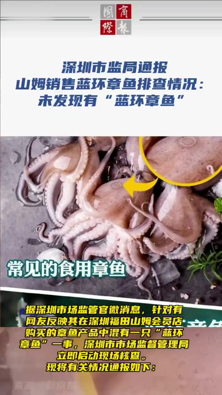 深圳市监局通报蓝环章鱼排查情况 资讯 热点新闻事件 民生关注