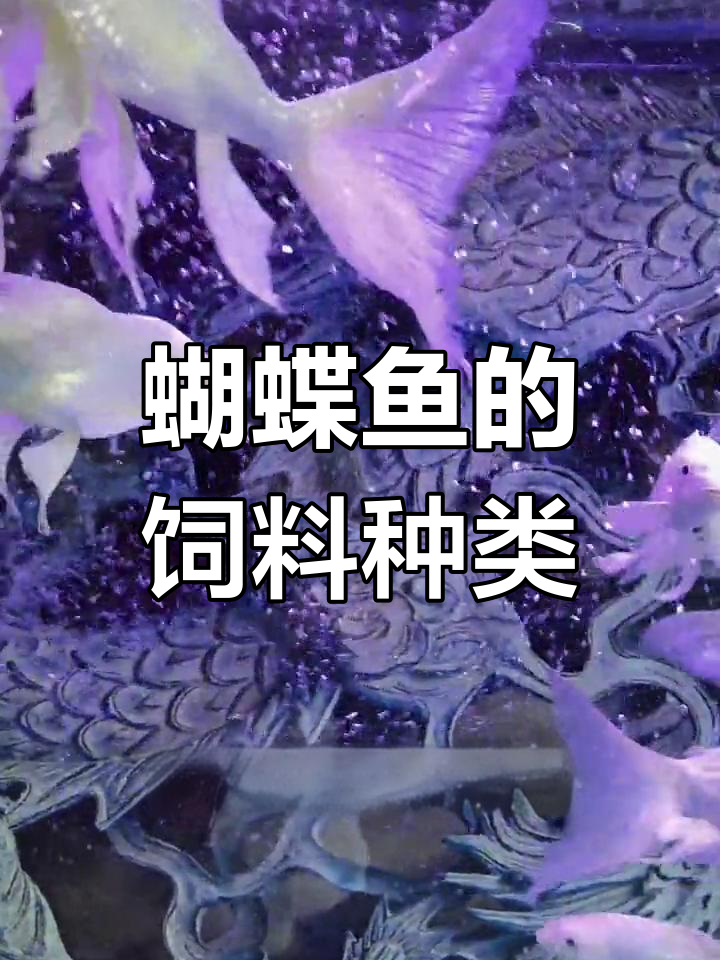 古代蝴蝶鱼的食物选择