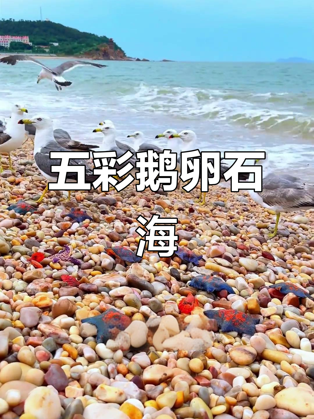 烟台五彩鹅卵石海滩,上帝遗落的宝石滩!