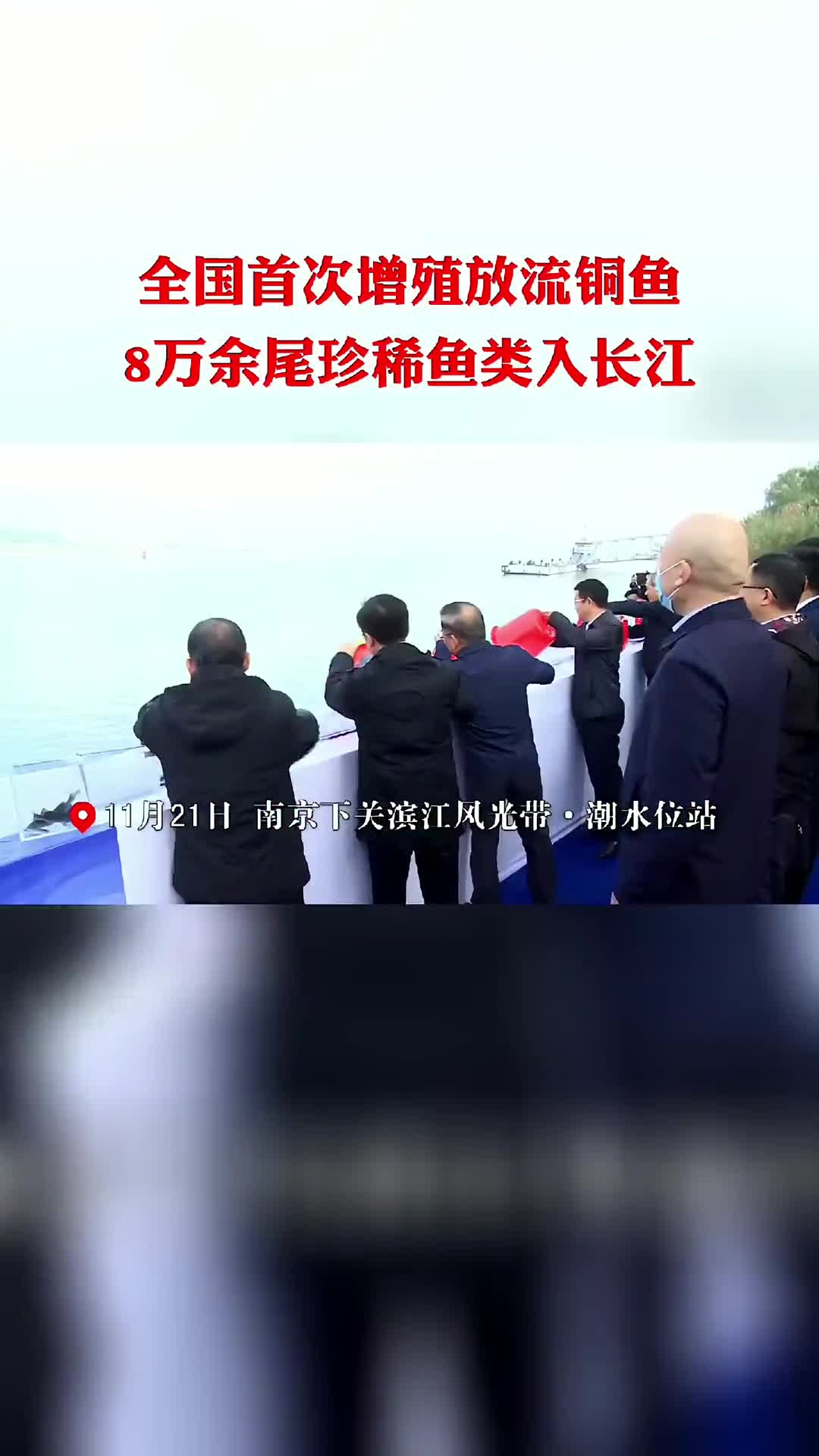 全国首次增殖放流铜鱼,8万余尾珍稀鱼类入长江