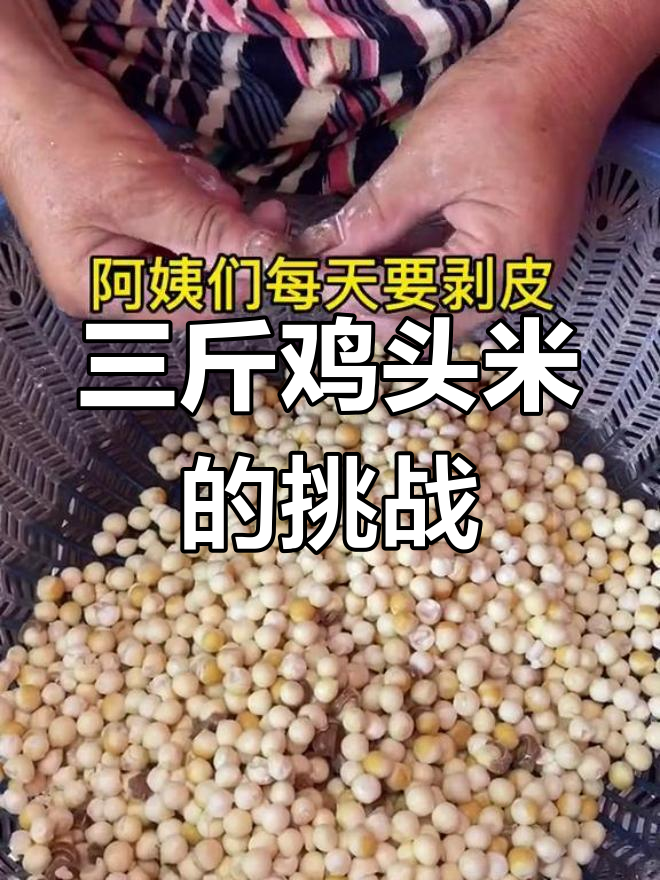 每天剥三斤鸡头米,熟练工才能完成