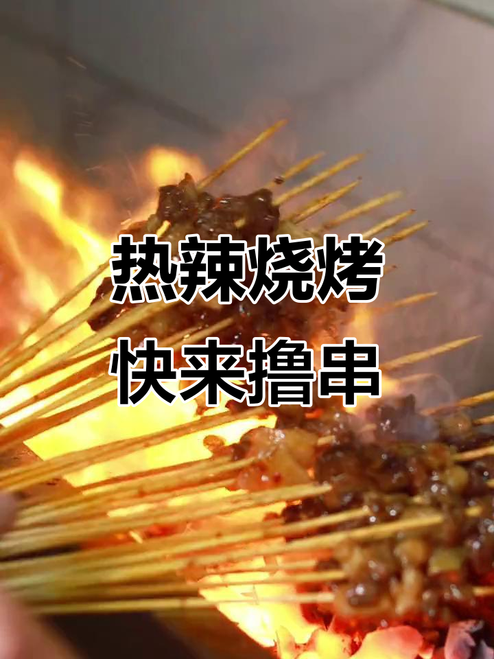 昭通小肉串,炭火烤制下的美味诱惑
