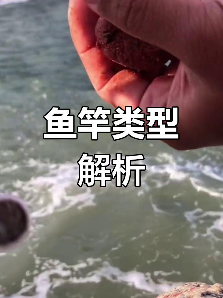 鱼竿种类大揭秘,如何选择最适合你