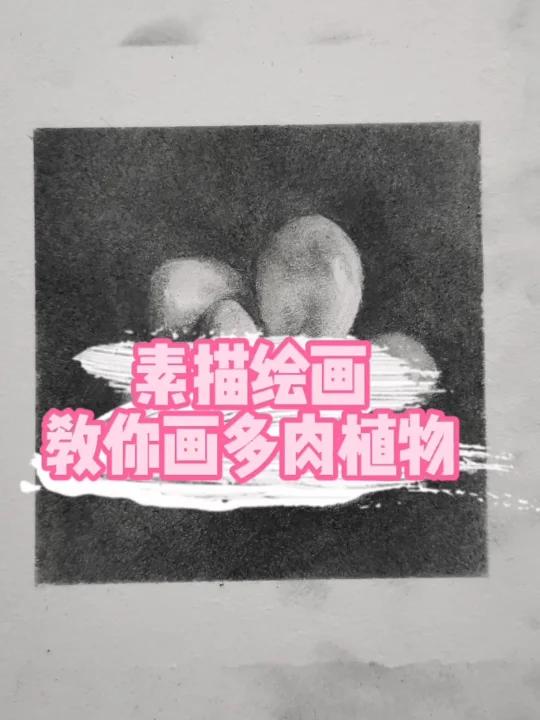 多肉植物怎么画?你学会了吗!