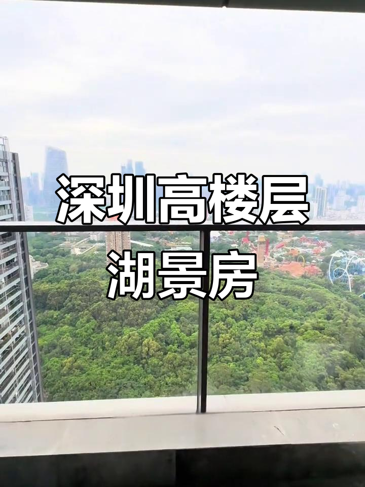 高楼层湖景房,视野无敌!深圳天鹅湖花园三期A栋03户型解析