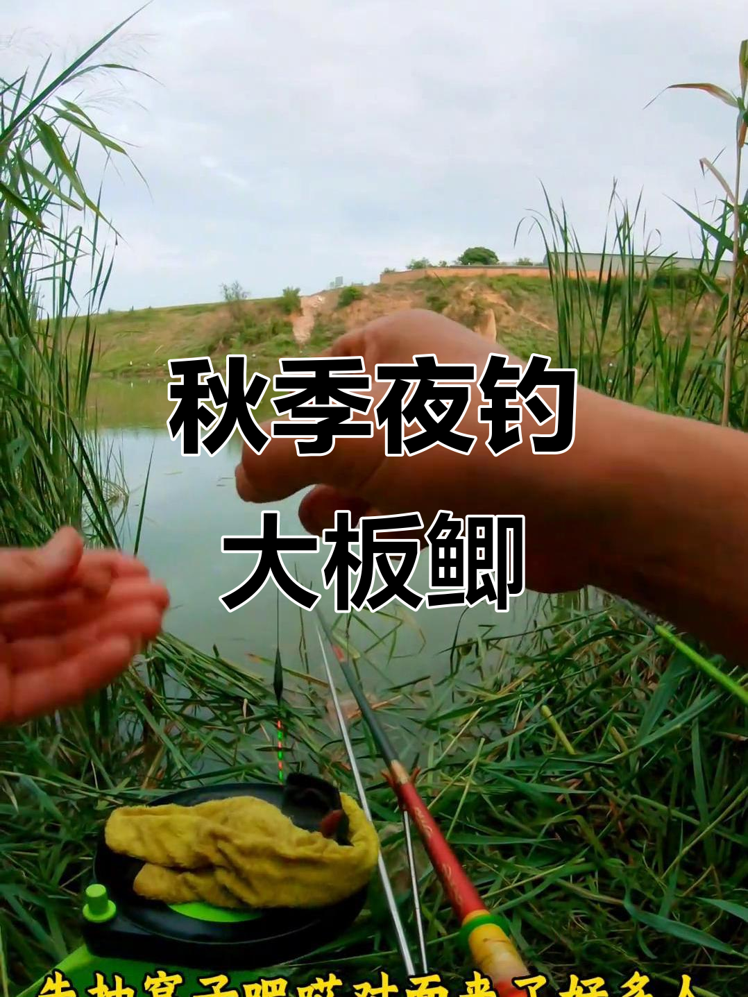 立秋后夜钓大板鲫，浅水区草边钓鱼技巧