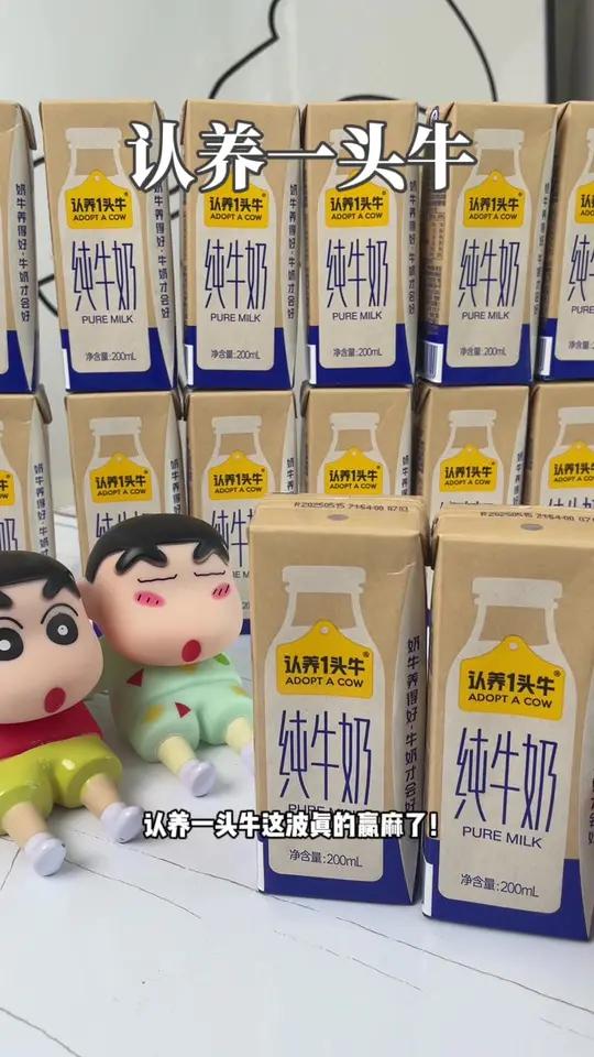 不是临期!整整16瓶 认养一头牛纯牛奶强烈安利给喝奶大户牛奶推荐超便宜超划算好喝不贵 强烈