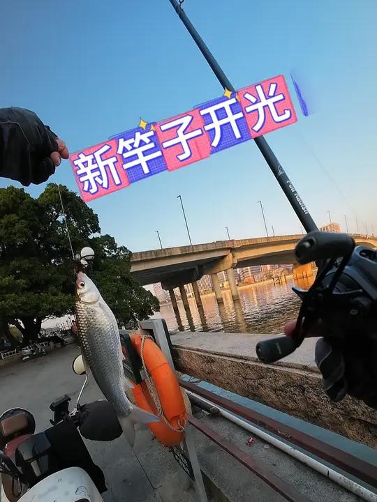 什么叫拟饵,拟饵就是模拟饵鱼的形态泳姿。在不同的水域作钓就要用接近这水域饵鱼的假饵和控饵手