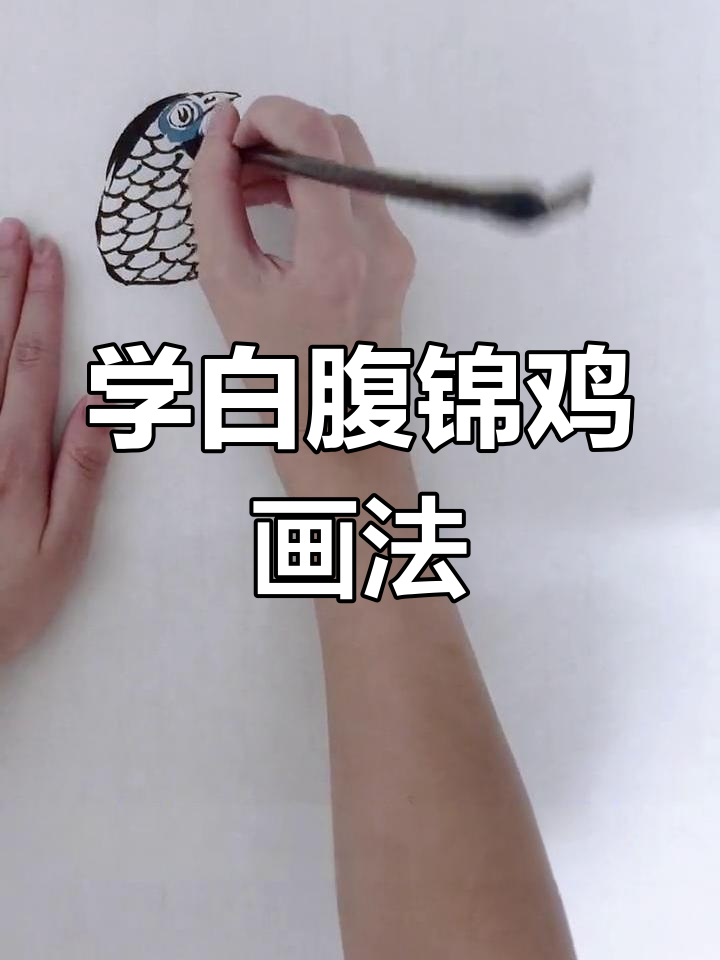 白腹锦鸡国画技巧,轻松学会