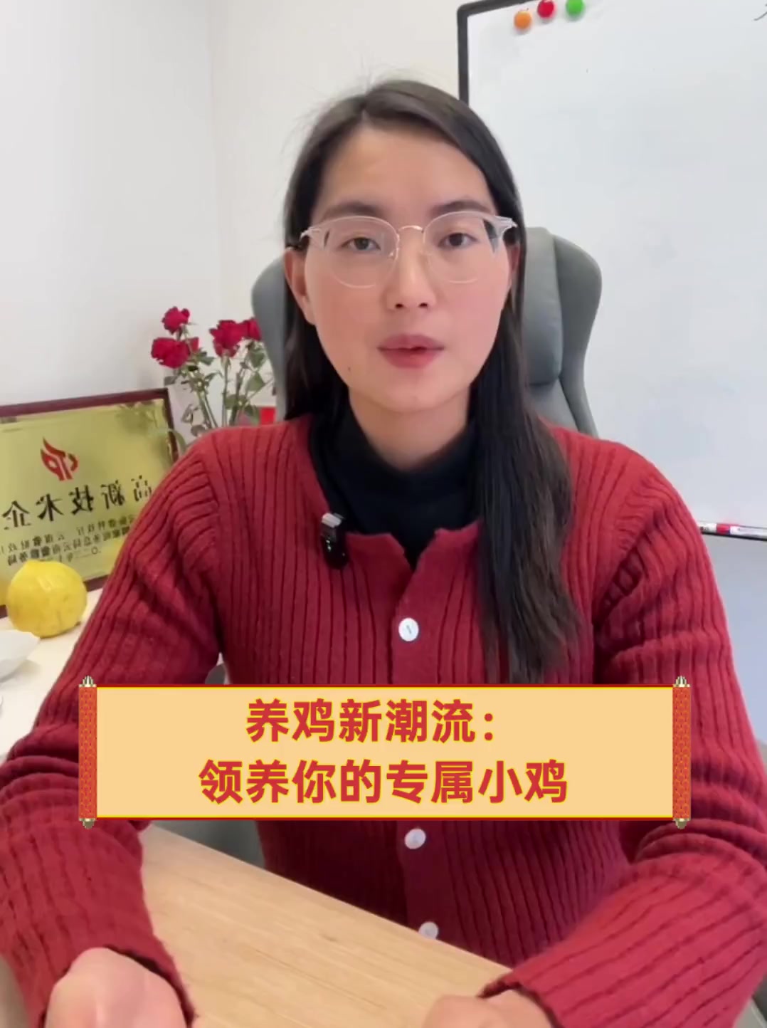 养鸡新潮流:领养你的专属小鸡