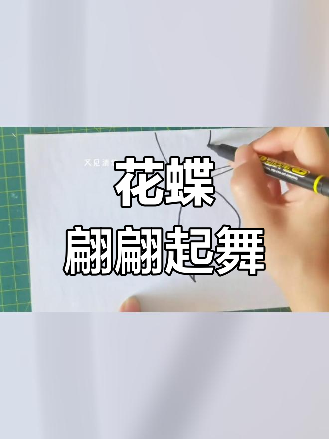夏日花丛中的蝴蝶飞舞,轻松学线描装饰画