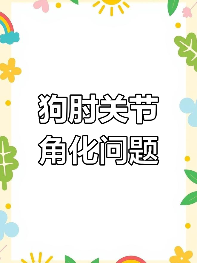 狗狗肘部皮肤角质化,如何应对?