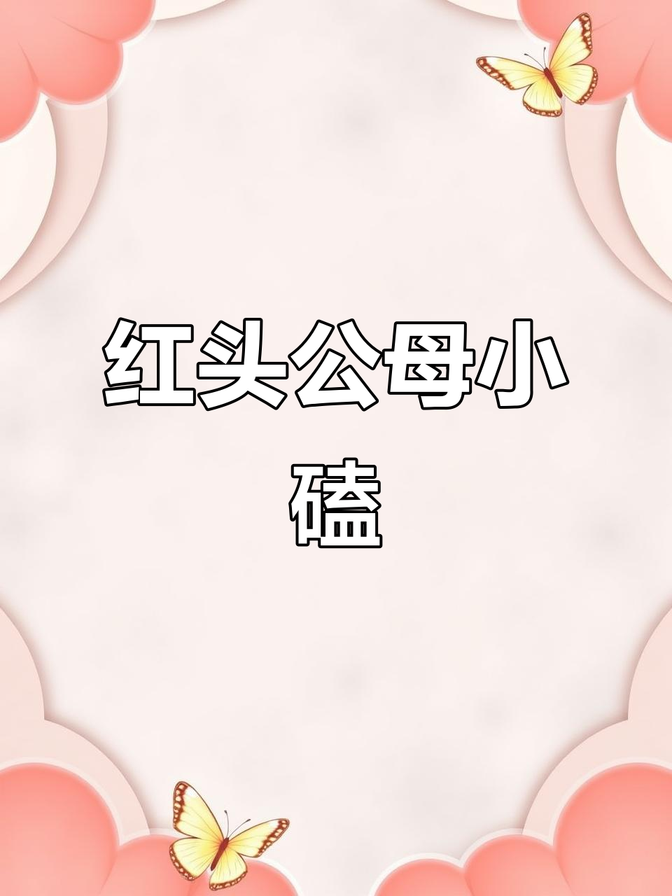 2024极品红头公母小磕,黑水鸡实拍展示