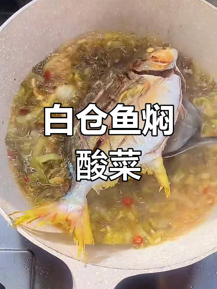 白仓鱼焖酸菜,开胃又下饭