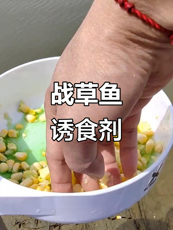 草鱼诱食剂大揭秘,螺肉虫类混合饵料引爆钓场
