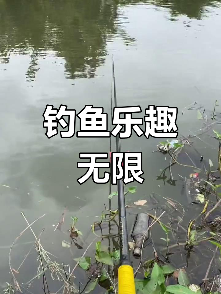 桃花湖畔的鲫鱼垂钓