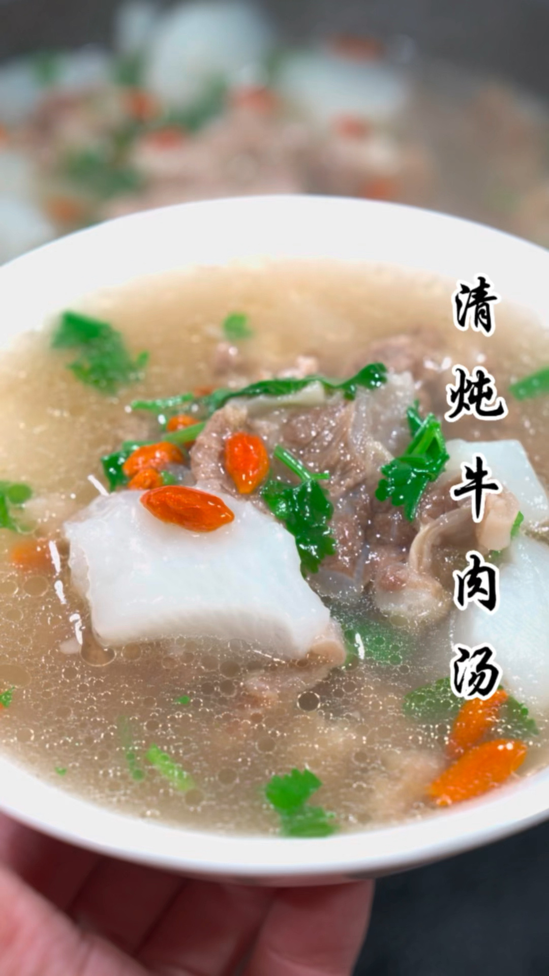 清炖牛肉汤