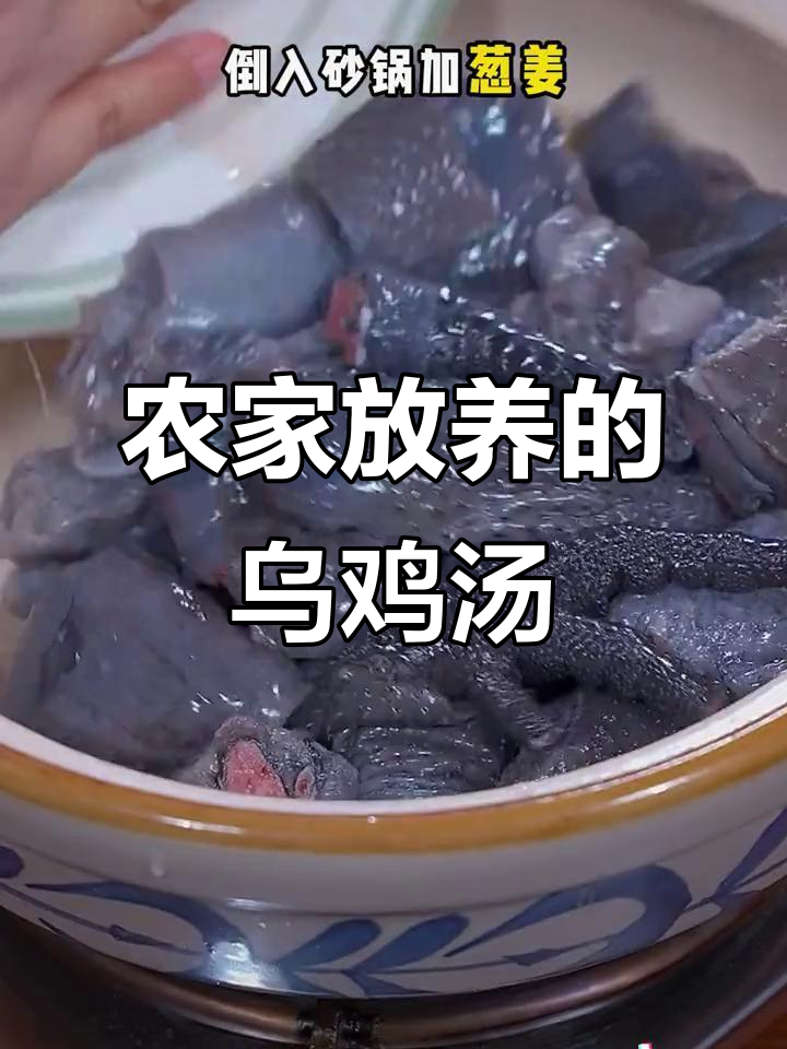 放养土乌鸡炖汤,鲜香不腻,滋补又实惠