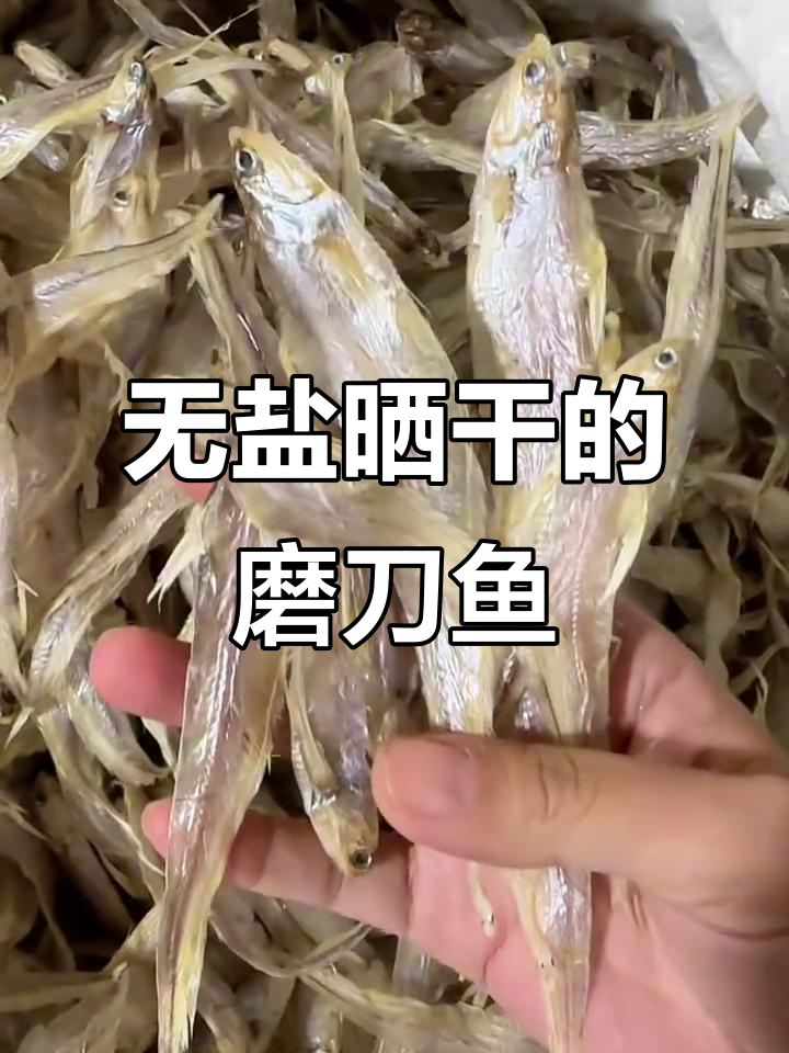 瓦埠湖淡干毛刀鱼,新鲜无盐晒干,半斤炒两盘超实惠