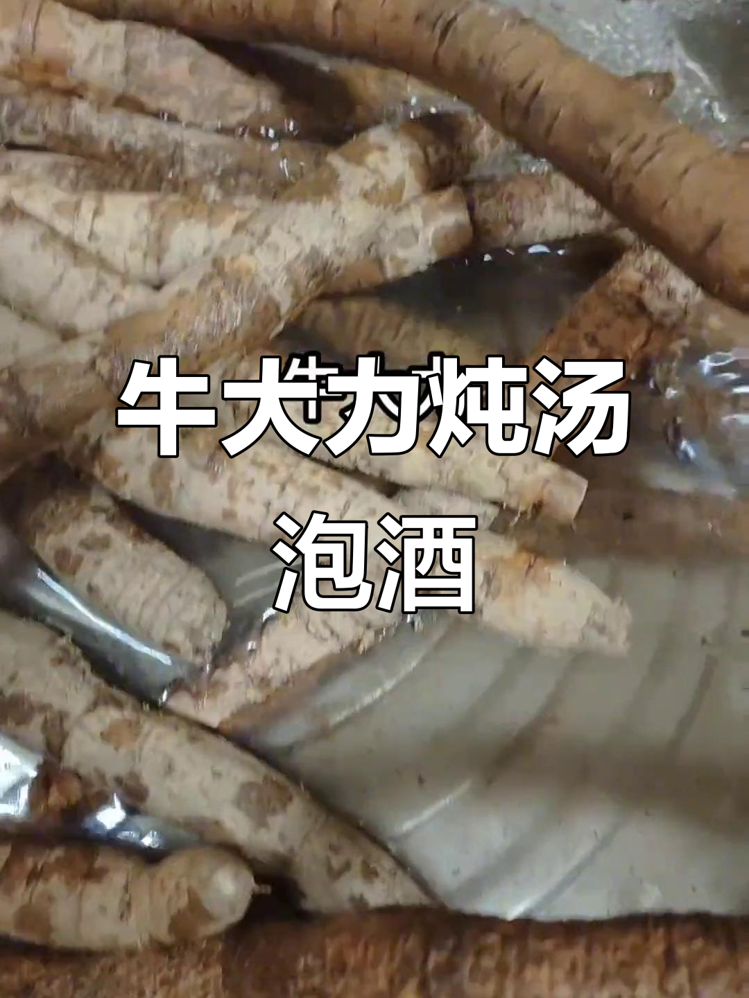 牛大力煲汤泡酒,功效多多