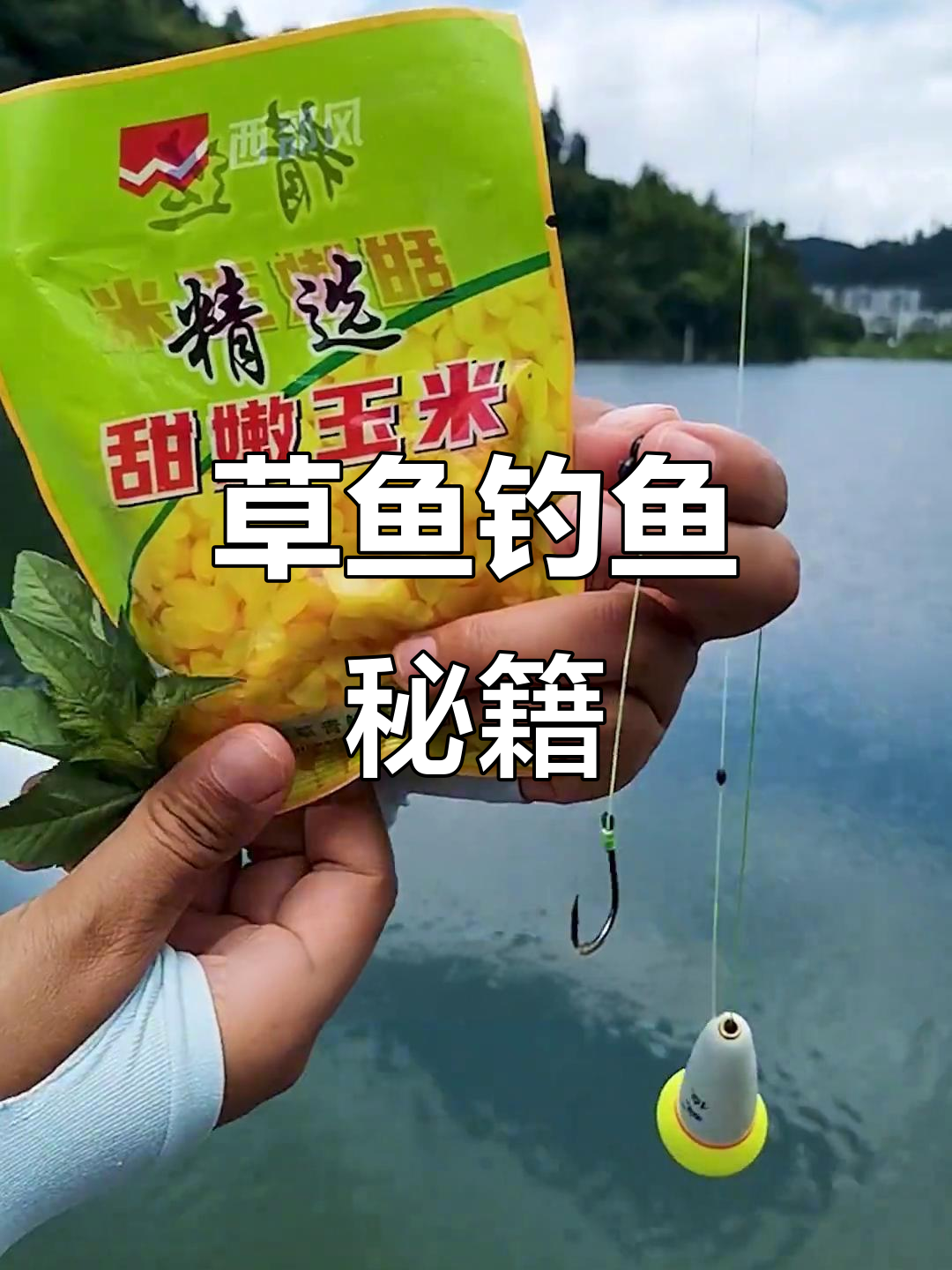 草鱼夏季易钓，掌握远投技巧，轻松上手！