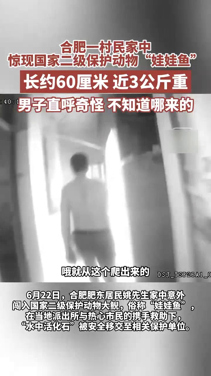 家中惊现国二保护动物“娃娃鱼”,男子直呼奇怪,赶紧安置好报警