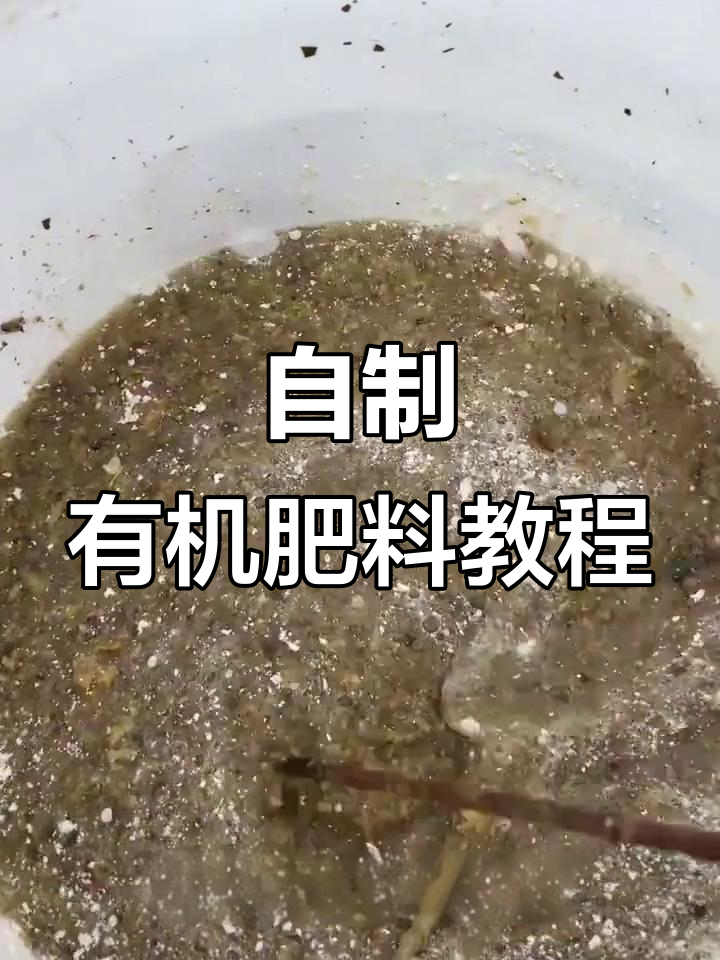 厨余垃圾变有机肥，果皮菜叶发酵做水肥