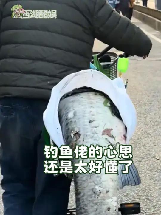 钓鱼佬的心思还是太好懂了#钓鱼佬 #钓鱼 #内容过于真实 #钓鱼佬的高光时刻