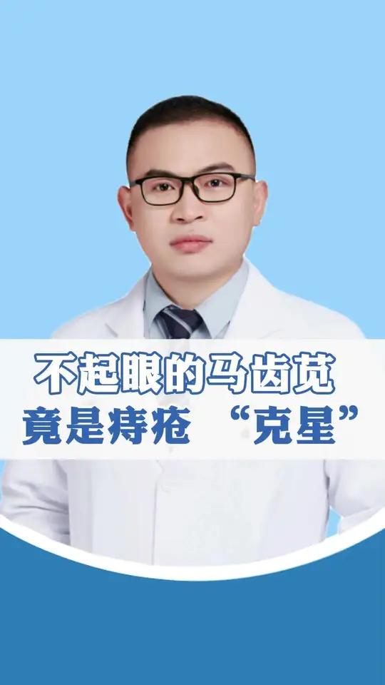 马齿苋煮水坐浴可以用来改善痔疮疼痛
